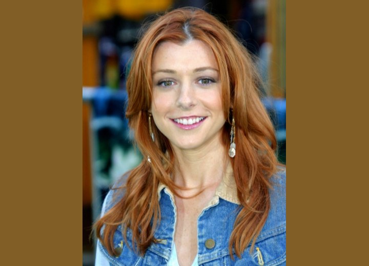 Alyson Hannigan's long wash and go hairstyle
