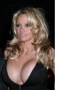 Pamela Anderson