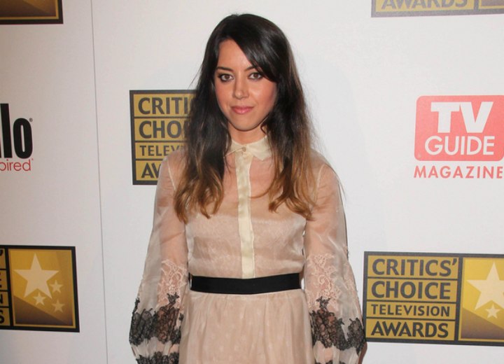 Sheer dress with a buttoned up collar - Aubrey Plaza