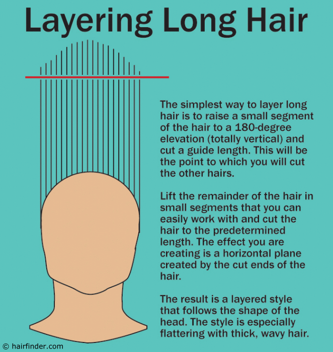 Designate the length of the cut by starting with a small segment of hair at 