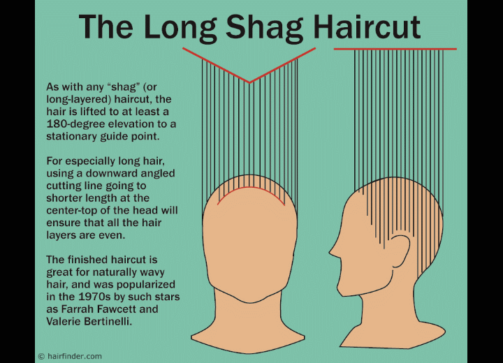 Long shag haircut