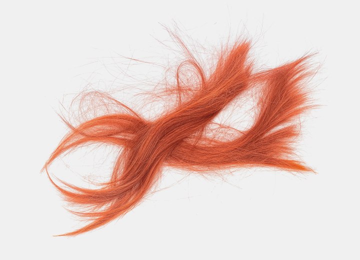 Damaged red hair