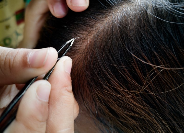 Removing a white hair with tweezers