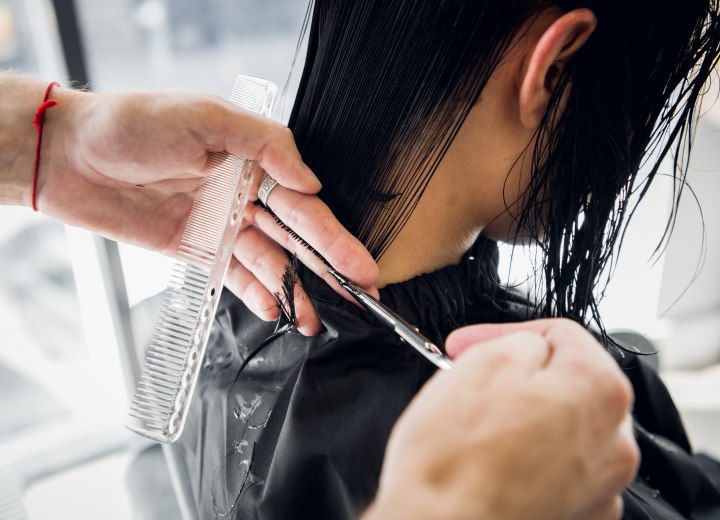 Hairdresser cutting hair