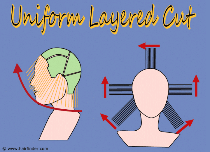 Cutting instructions for a uniform layered haircut
