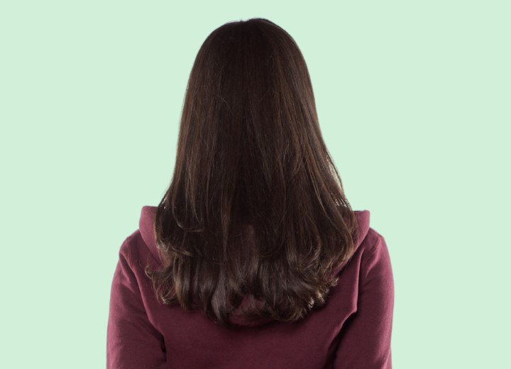 The back of long layered hair