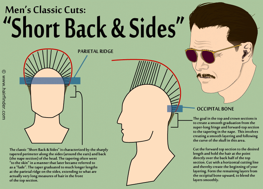 Men's hairstyles with blended back and sides or clean cut with short back 