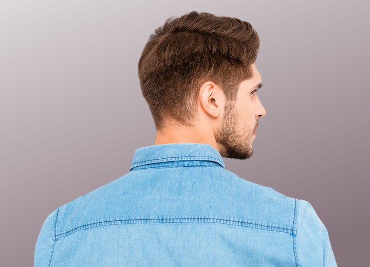 Rear view of fashionable hair for men