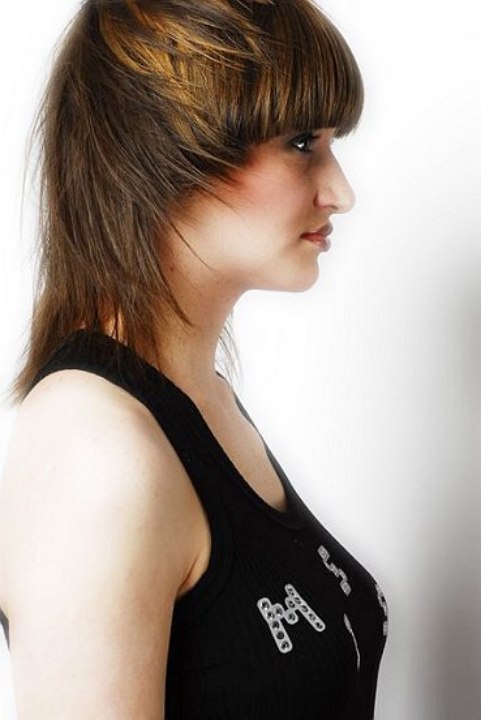 Short Layers Hairstyle. layers hair style