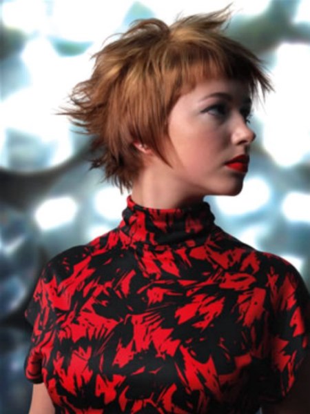 Short hairstyle with a fluffed up back and top