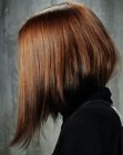concave  haircut -http://knock-em-dead.blogspot.com