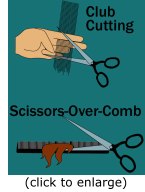 club cutting graphic