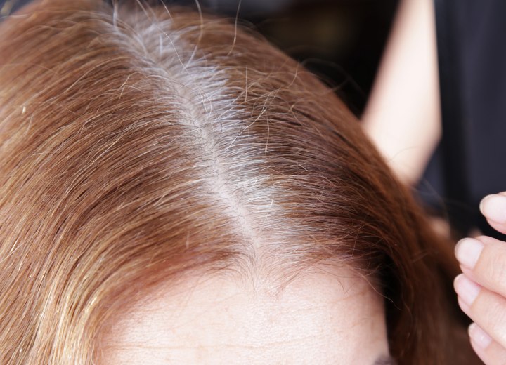 Hair with gray roots
