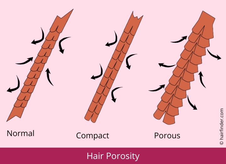 Hair porosity