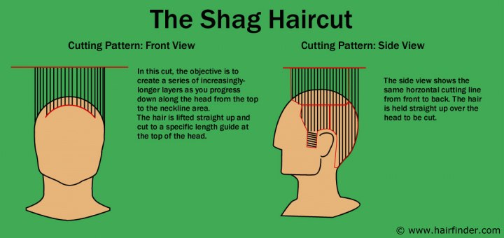 Shag haircut diagram
