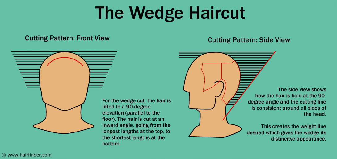Oddly enough, although Hamill's signature hairstyle is the wedge, 
