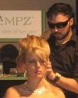 Up style at hair show