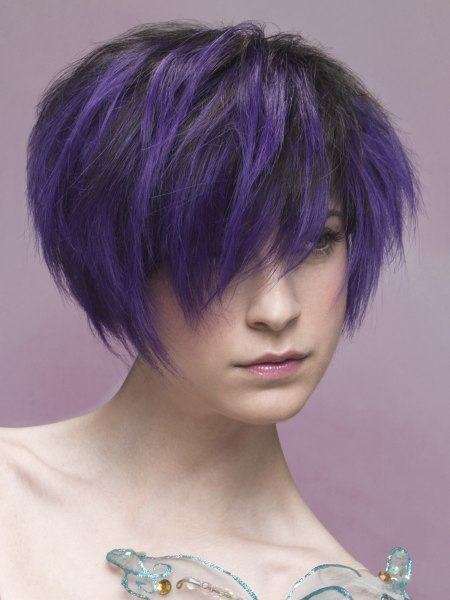 Short hair with contrasting black and purple colors
