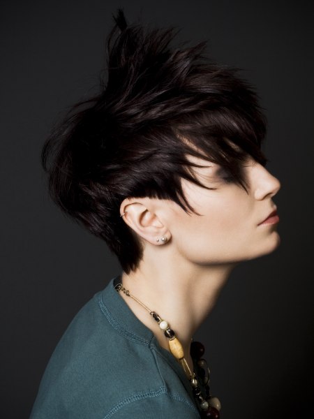 Pixie cut  hair with layering and texturing