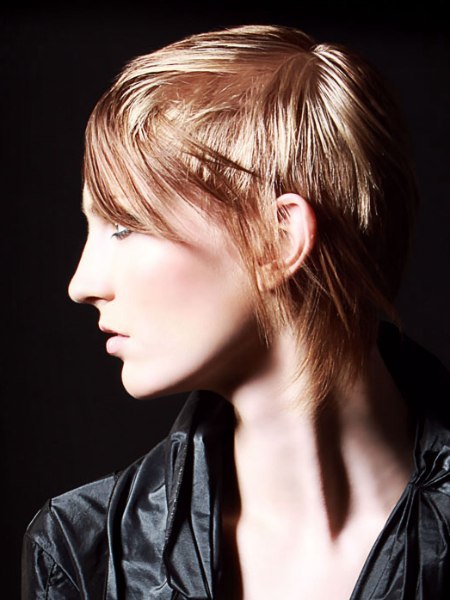 Pixie cut with layers in the neck section