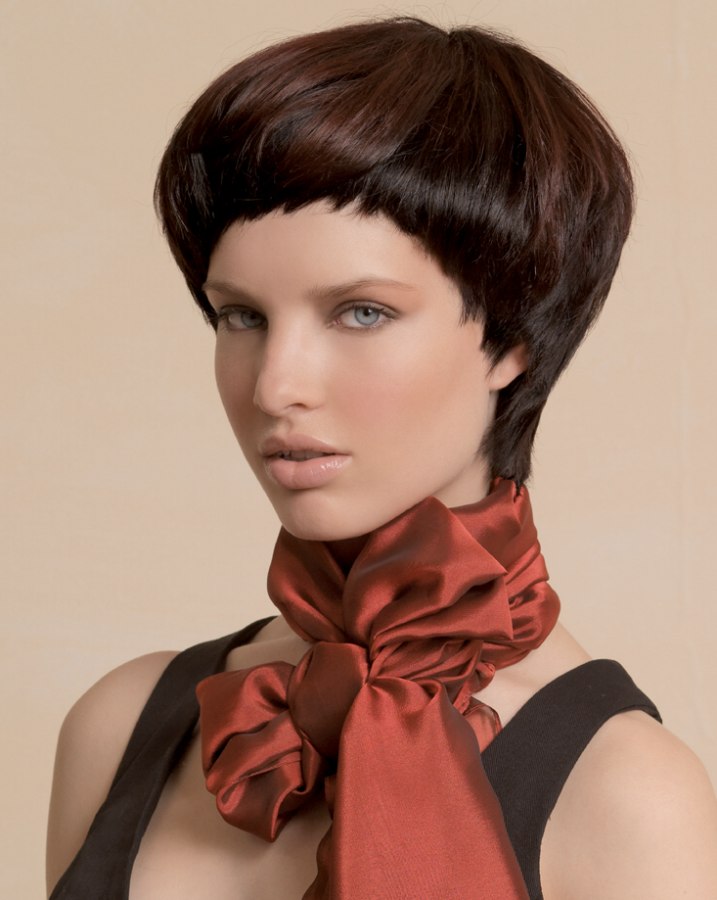 Short Hairstyle With A Sleek Neck And High Volume Short Hairstyle With A Sleek Neck And High Volume