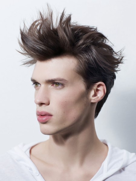 Male hairstyle with a lifted fringe for brown hair