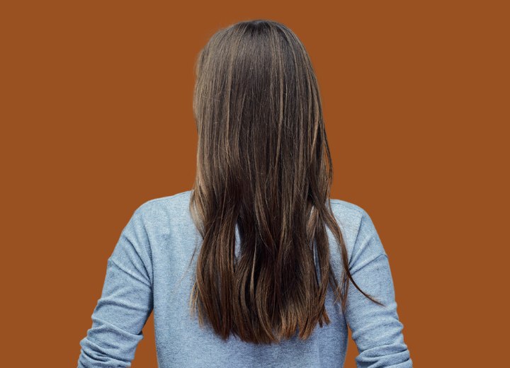 Back view of beautiful long hair