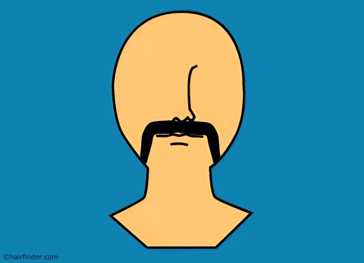 Fu Manchu moustache
