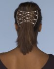 Ponytail style with a hair accessory