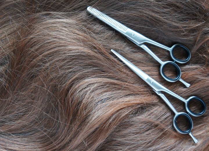 Haircutting scissors and hair