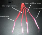 Four-strand braid hair extensions diagram