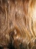 hair growth