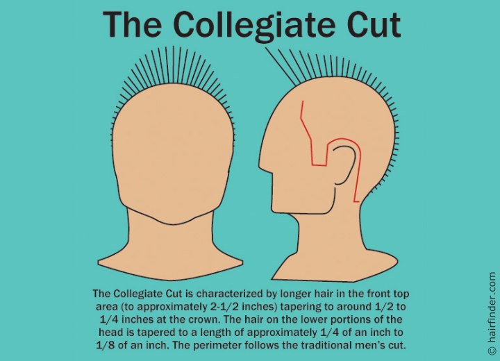 How to cut a collegiate cut