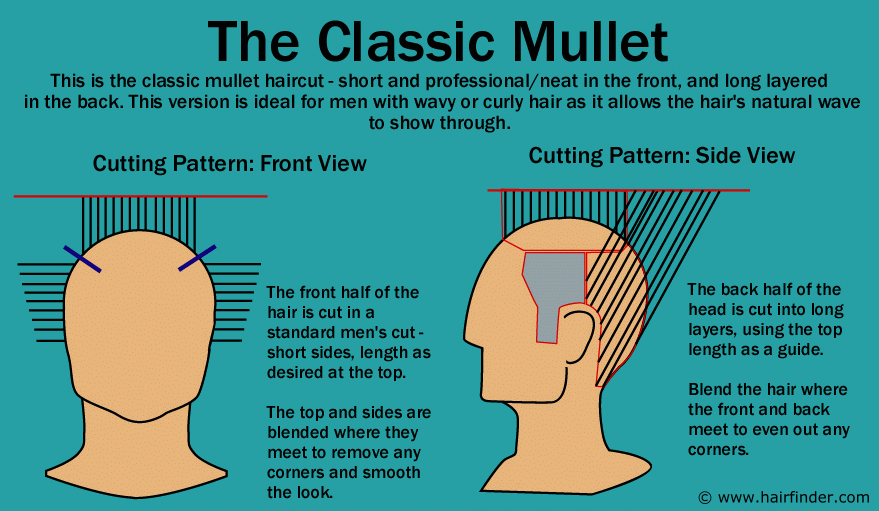 mullett hairstyle. The classic mullet