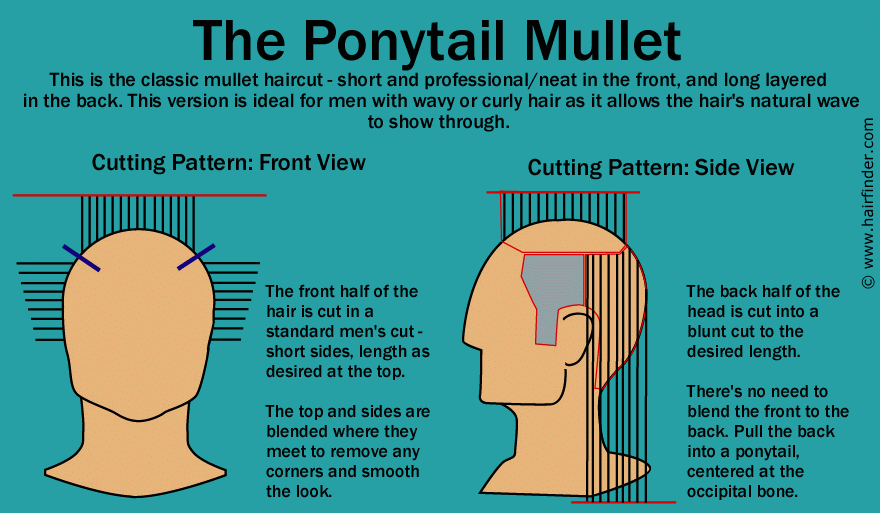This is the mullet style worn by many men who want long hair but need to 