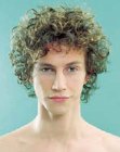 curly male hairstyle