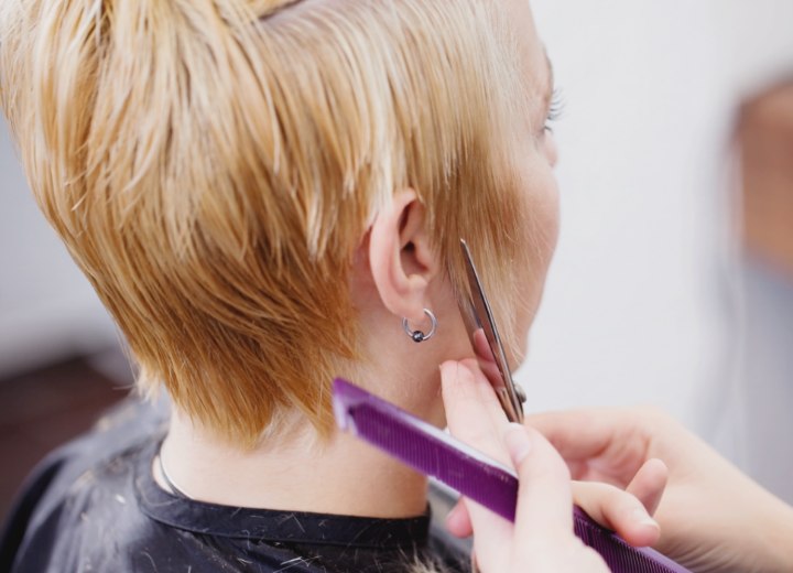 Hair stylist while cutting a pixie