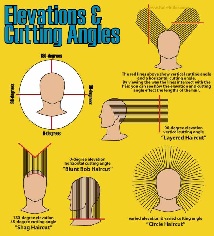How to use hair cutting angles and elevation in techniques and methods for 