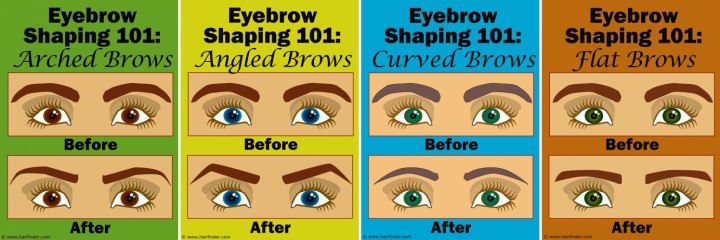 Different shapes for eyebrows: arched, angled,curved and flat