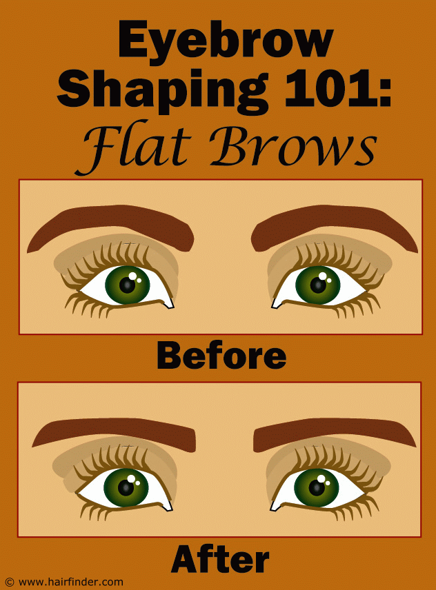 ideal eyebrows