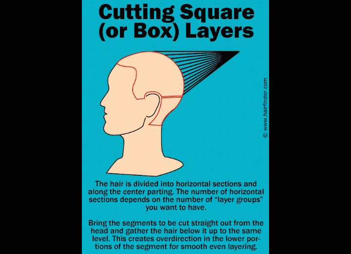Square layers or box layers hair cutting diagram