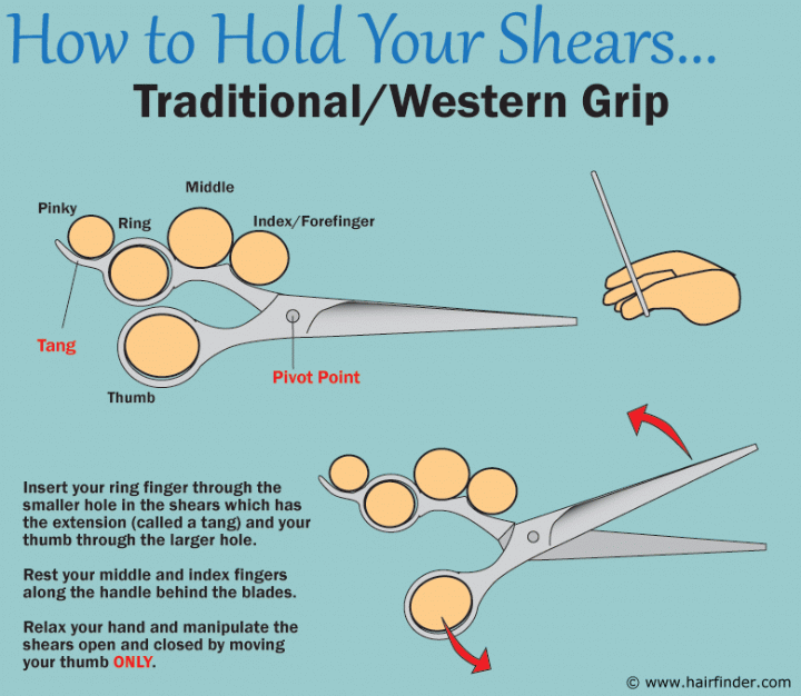 How to hold hair cutting scissors - Western grip