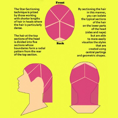 How to star section hair
