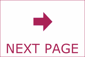 Next page