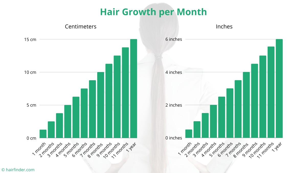 How Often Should You Get a Haircut  More Than You Think