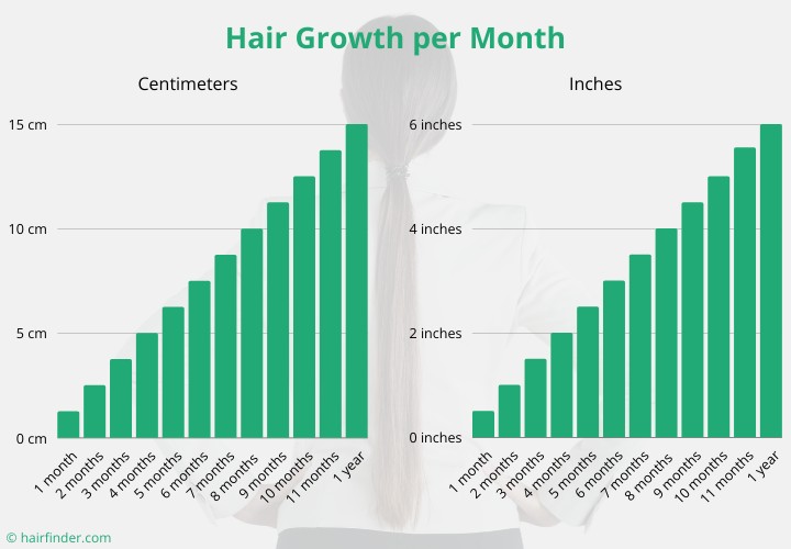 Average hair growth per month