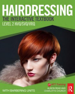 Hairdressing Level 2: The Interactive Textbook