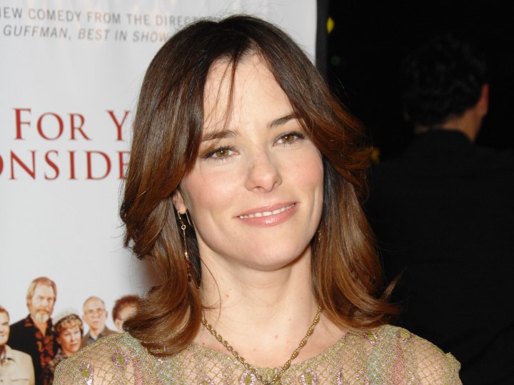 Brunette Parker Posey wearing her hair long