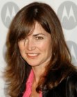Dana Delany's long natural looking brown hair with layers and angled sides