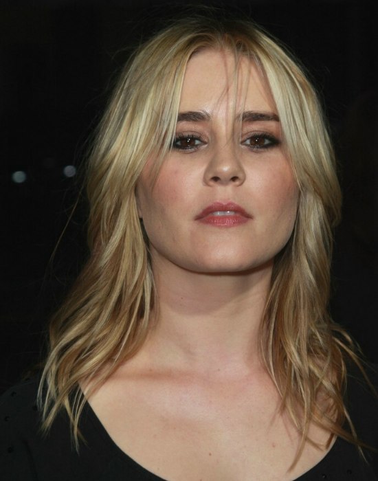 Alison Lohman sporting a casual long layered haircut that 